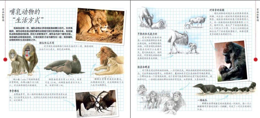 心灵之旅启程