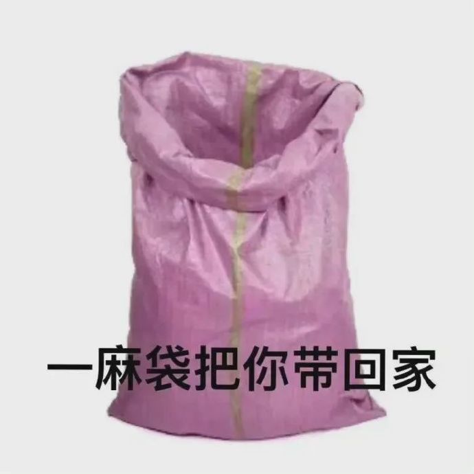 小巷深处的斗图新风尚，神秘宝藏大揭秘