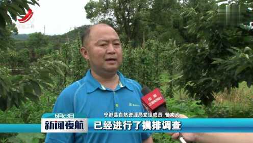 宁都最新新闻报道