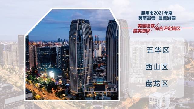 桐城房价最新动态，巷弄深处的惊喜发现与房价更新消息