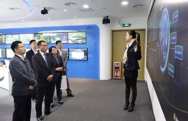 文交所最新动态与行业展望，最新消息与发展趋势分析