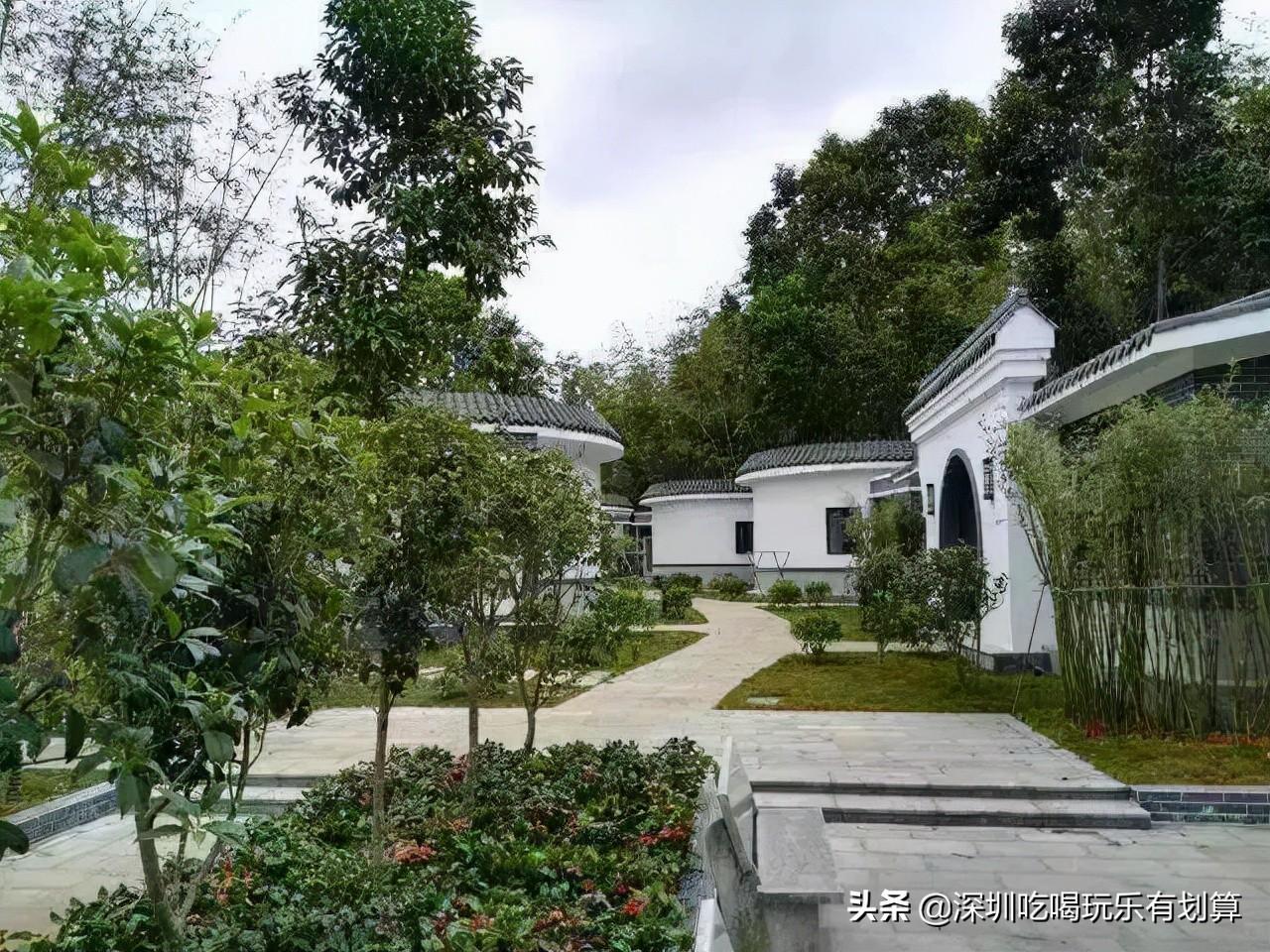 惠州最新入户政策，时代背景下的城市拥抱策略