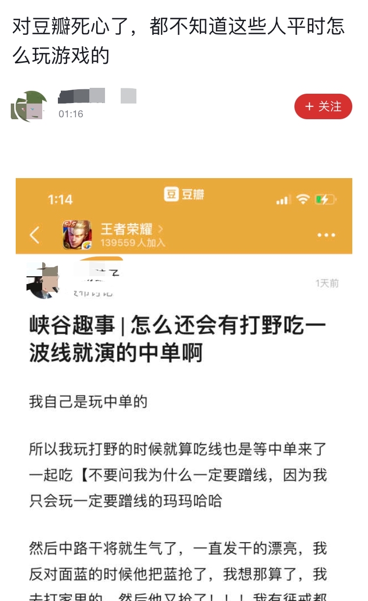 最新婚联，文化现象的深度探讨与解析