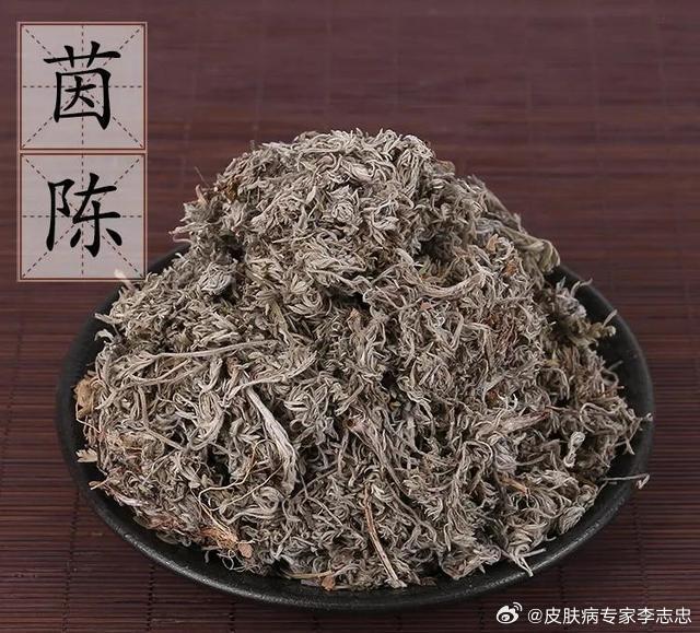 最新的病毒叫什么名字,最新的病毒叫什么名字？管它呢，让我们踏上自然的探索之旅吧！