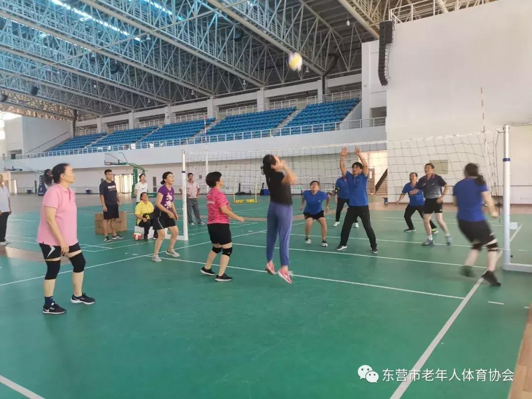 科技重塑运动魅力，最新气排球规则下的排球盛宴体验