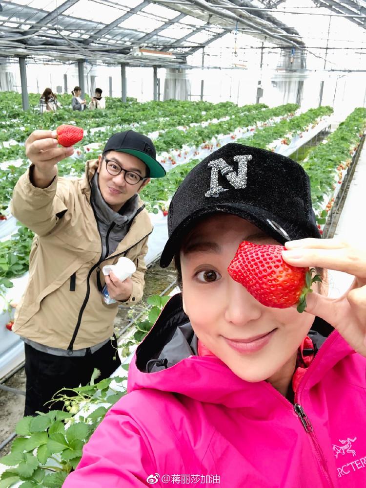 四胎政策最新动态下的科技革新，全新智能育儿助手引领未来！