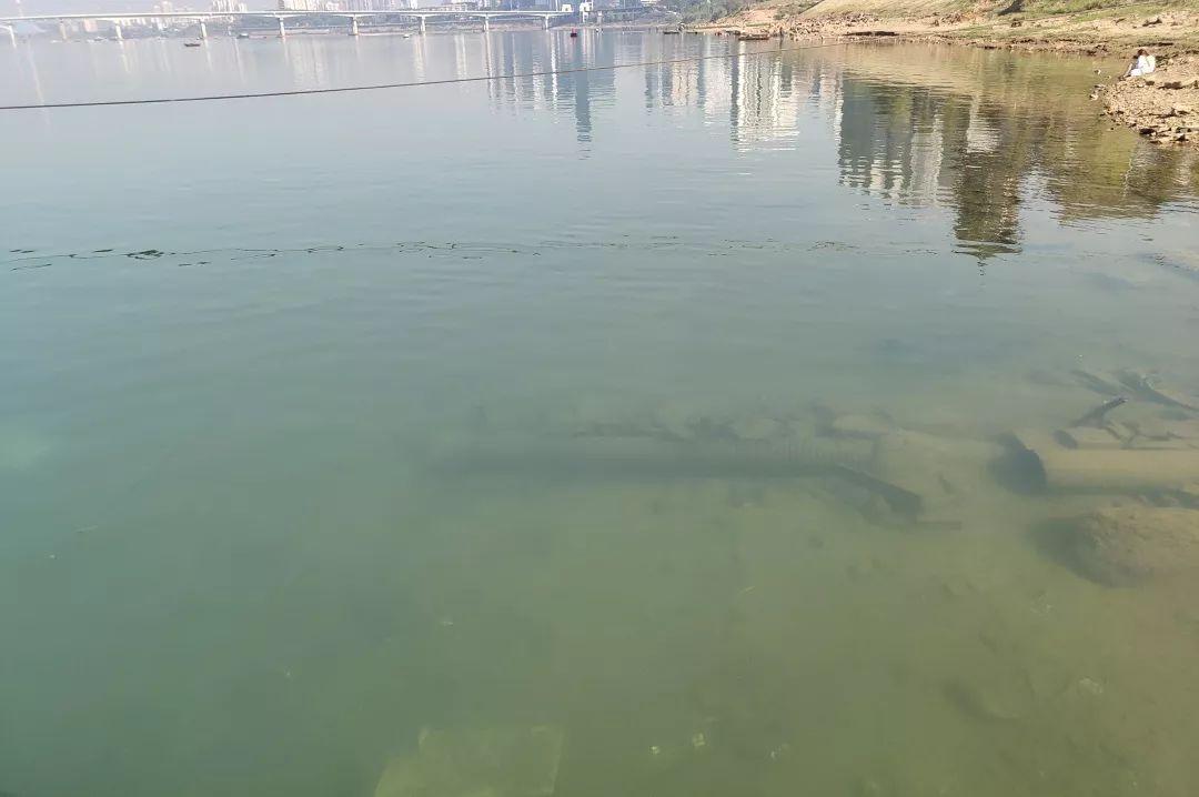 湘江最新水位监测科技产品介绍，掌握湘江实时水位动态