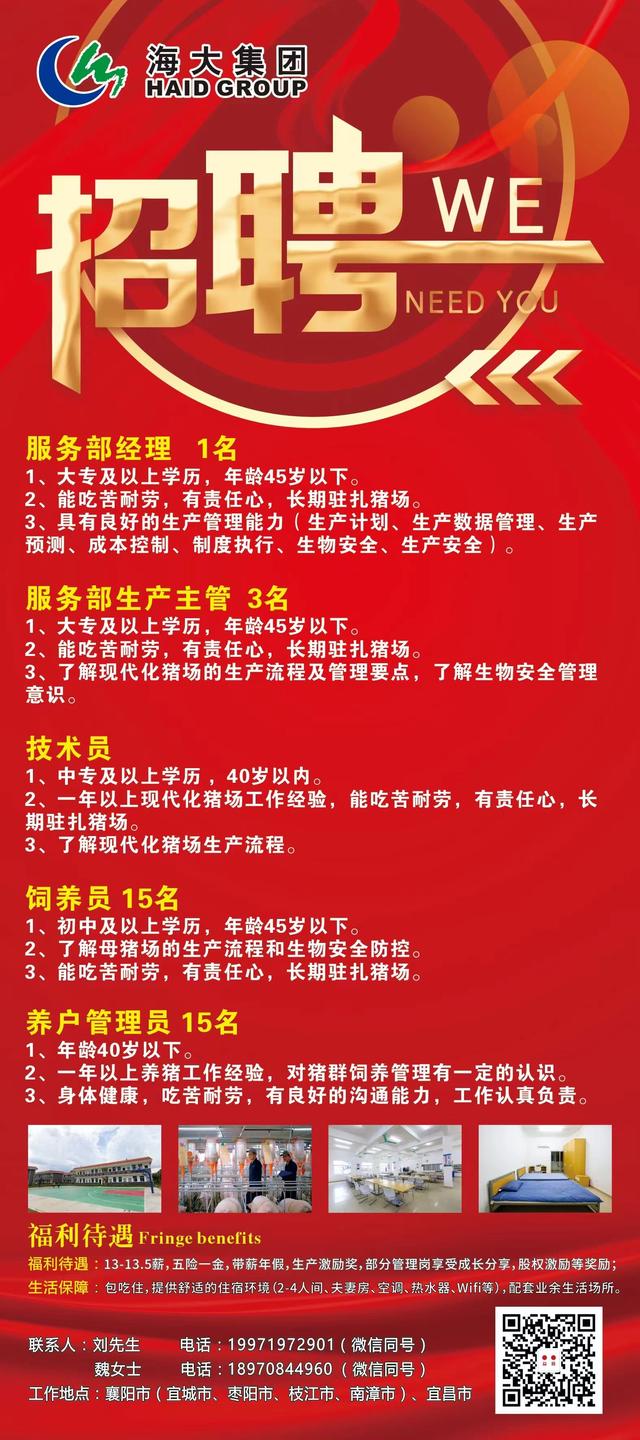张家口最新招聘信息,启程探索自然美景,寻找内心的平和家园