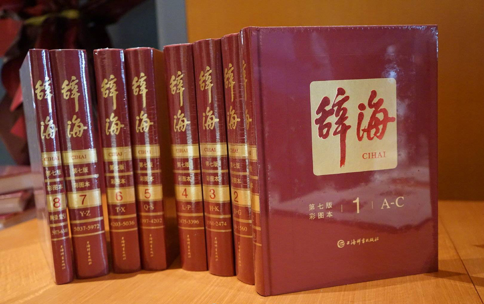 辞海最新版使用指南，适合初学者与进阶用户参考