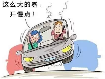 奉贤车祸最新情况，事故分析、原因探讨及公众应对要点概述