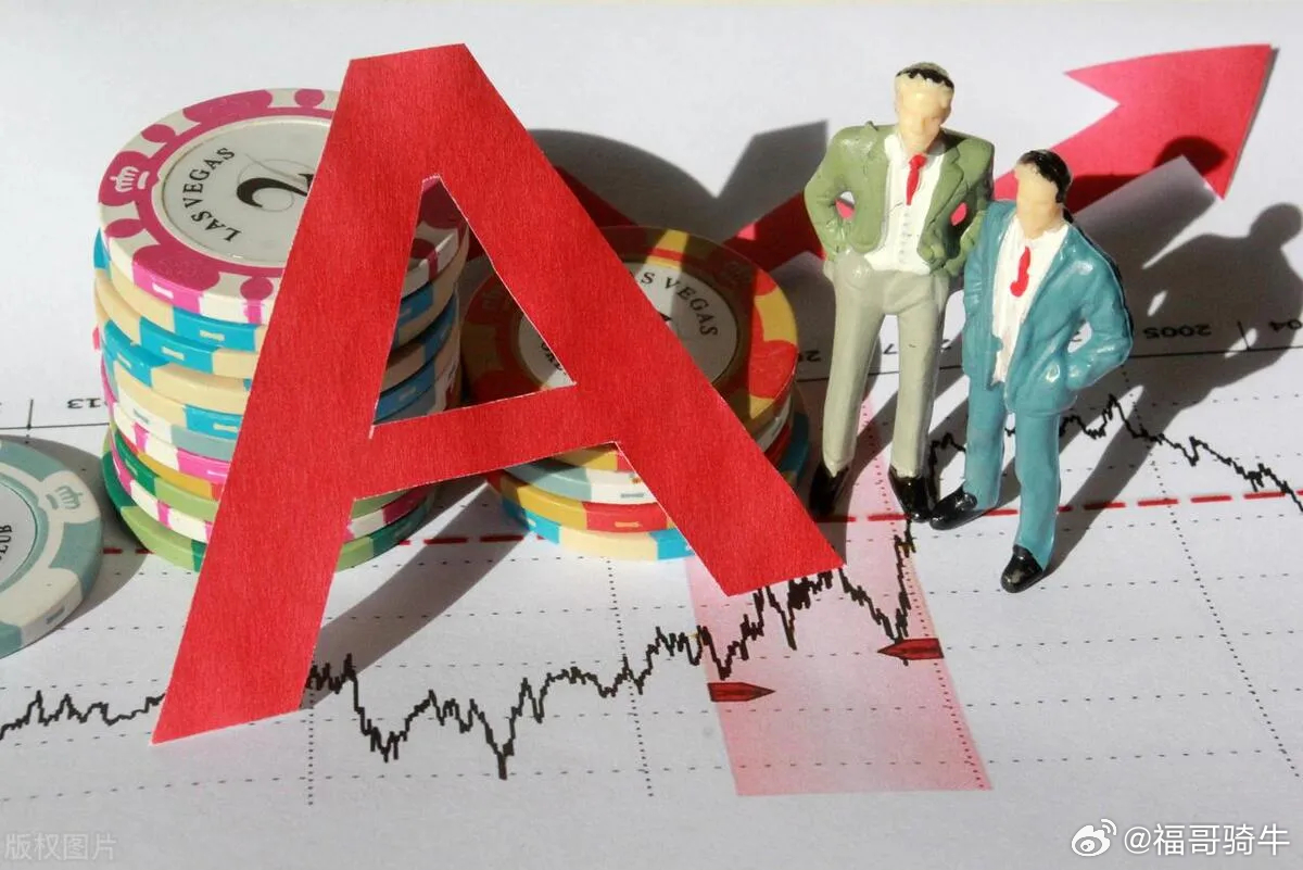 上交所最新公告，变化中的学习之旅，自信成就之源
