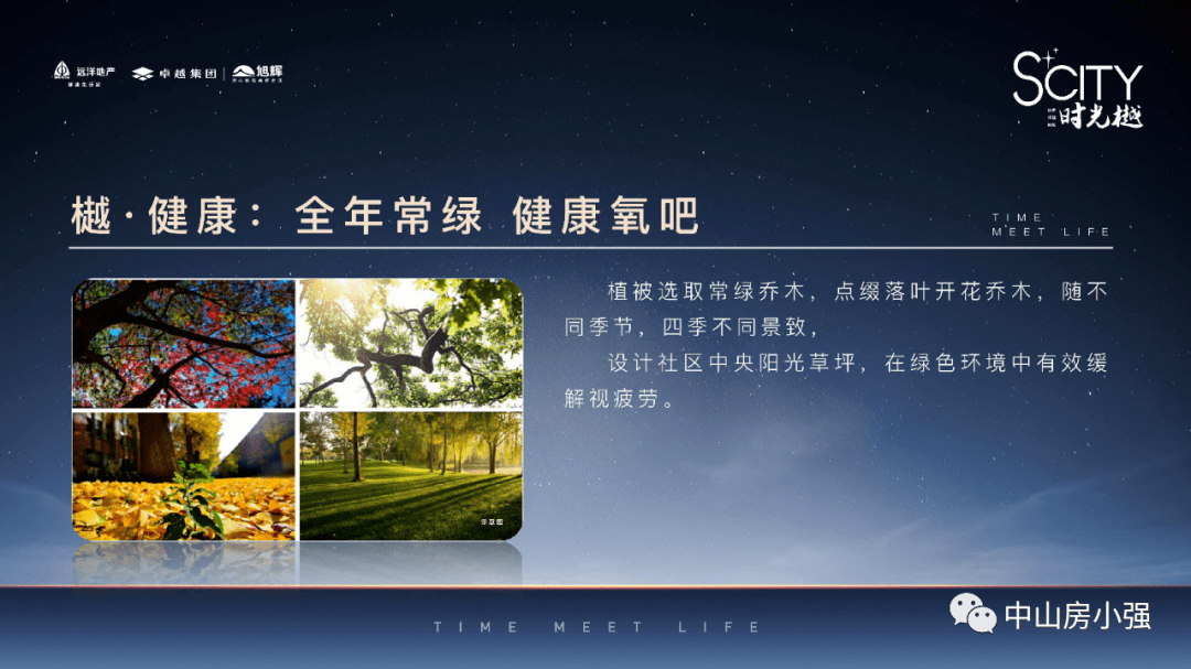 最新年代文创作指南，步骤与要点解析