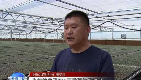 壶关新闻最新动态更新，壶关新闻速递