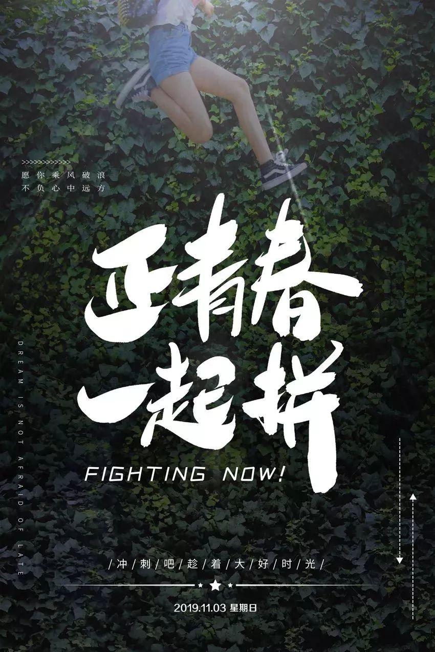 防爆振动电机 第43页
