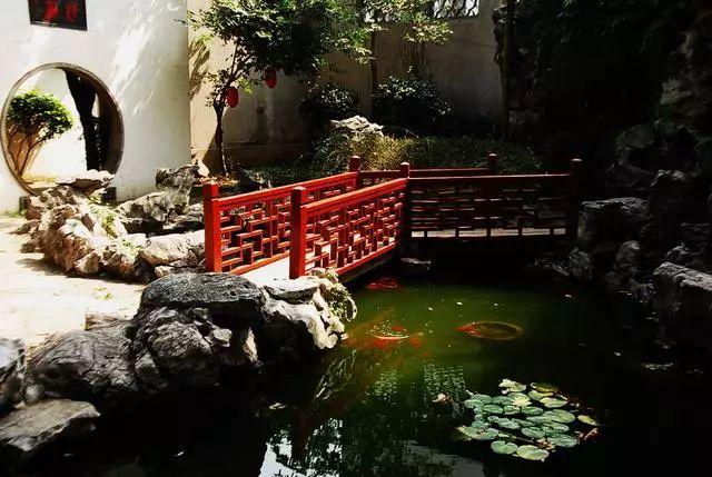 最新天然观点的深度阐述，天然之美的探索与阐述