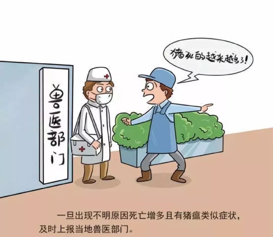河北省疫情最新动态与温馨日常观察