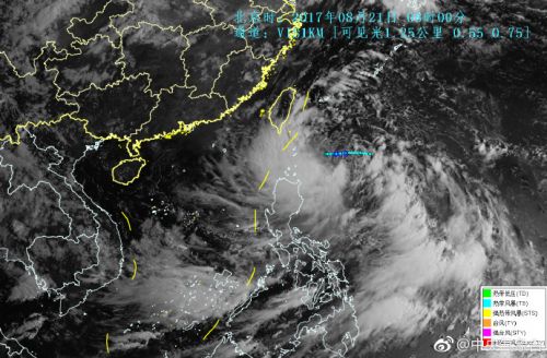 最新台风天鸽消息揭秘，小巷中的神秘宝藏与实时动态更新
