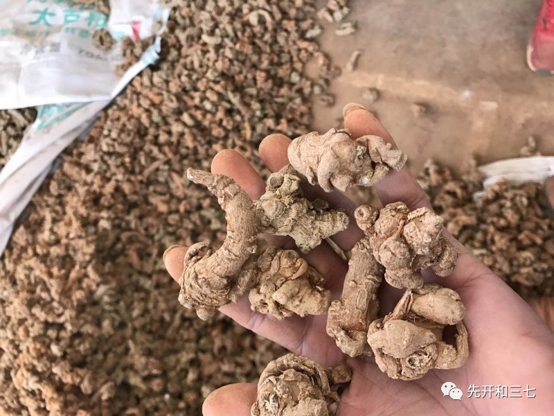 文山三七最新价格揭秘，小巷深处的宝藏，探寻三七价格奥秘！