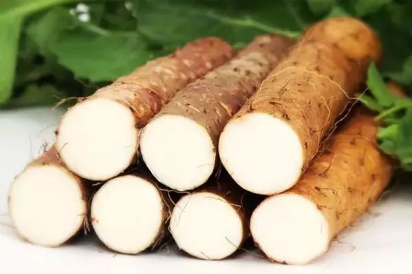 科技赋能下的山药魅力新纪元，最新价格行情概览