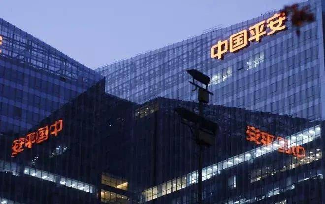 特朗普与中国，最新深度解析消息速递