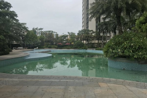 亚运城5号最新动态速递