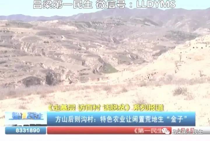 芦子沟煤矿最新动态，产业进展与挑战的双向视角解析