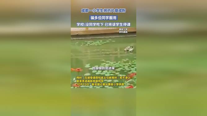 小学生将药磨成粉骗同学后续揭秘，小巷神秘特色小店引发关注