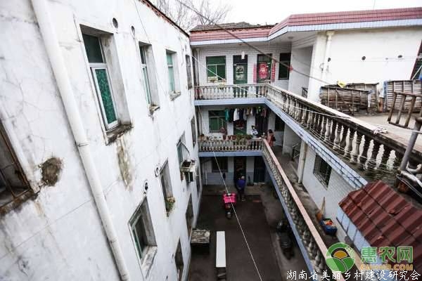 回顾与反思，沿河违建宿舍占绿十二年，违建背后的故事与教训