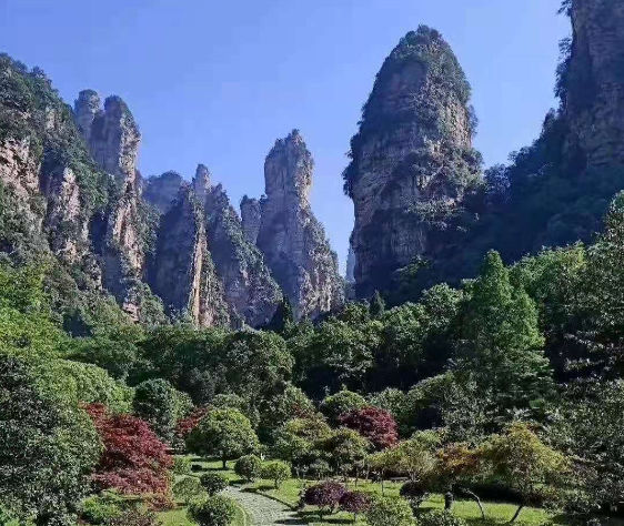 第6419页