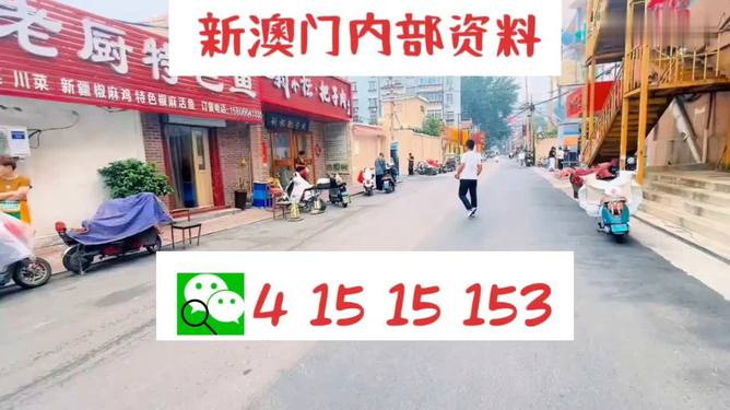 2024新澳门天天开好彩大全146期，准确资料解释落实_3D34.22.48
