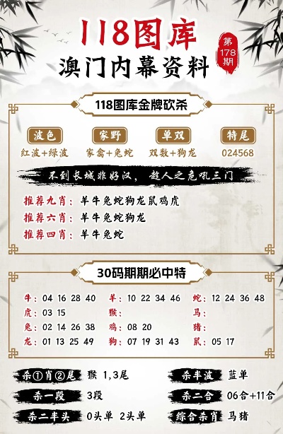 澳门最精准正最精准龙门客栈免费，数据资料解释落实_BT13.74.78