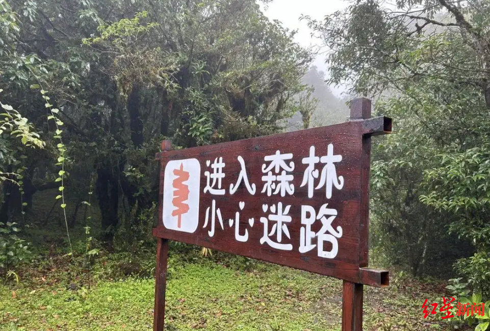 哀牢山未来半月徒步团名额爆满，自然探索之旅启程！