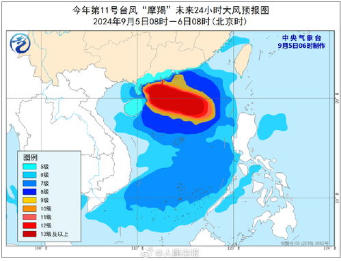 浙江台风最新消息与路径，逆风中的励志传奇