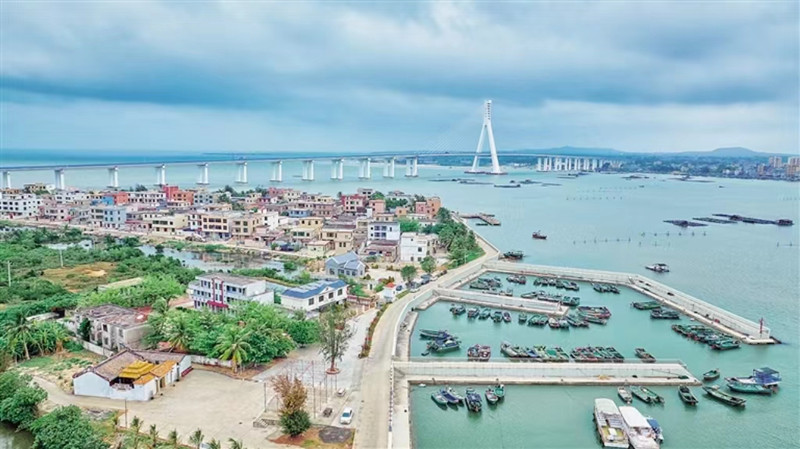 海口最新动态，城市变迁与成长同步前行