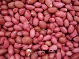 花生米最新价格行情与一场自然美景的探险之旅
