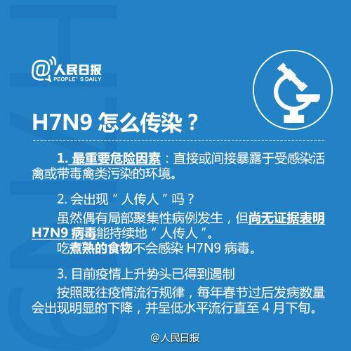 H7N9最新动态，疫情更新与日常温馨故事
