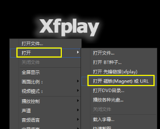 最新播放地址获取步骤指南及使用方法