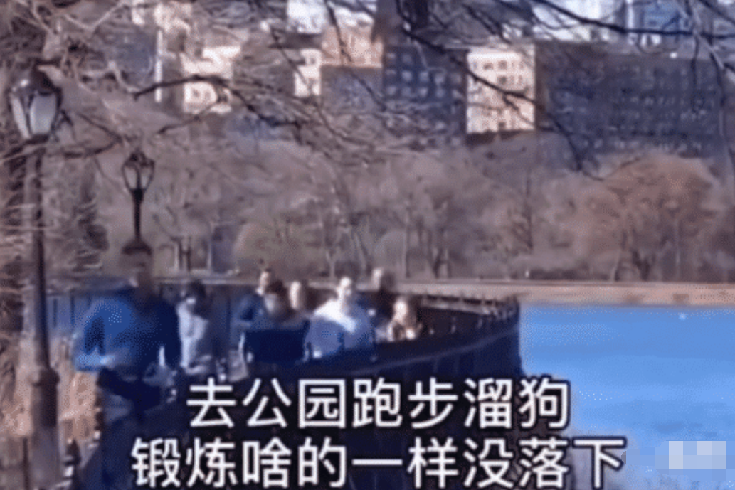 美国肺炎最新动态，自然探索之旅寻求内心平和与宁静
