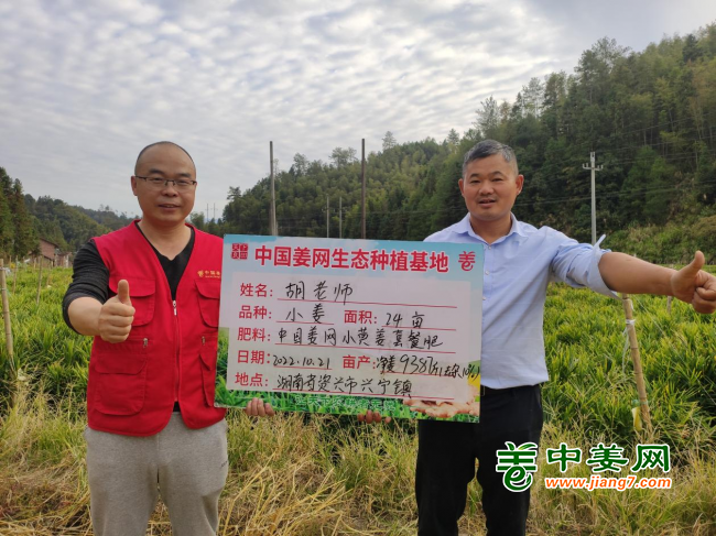 大姜最新价格，励志之旅中的变化学习与自信成就之路