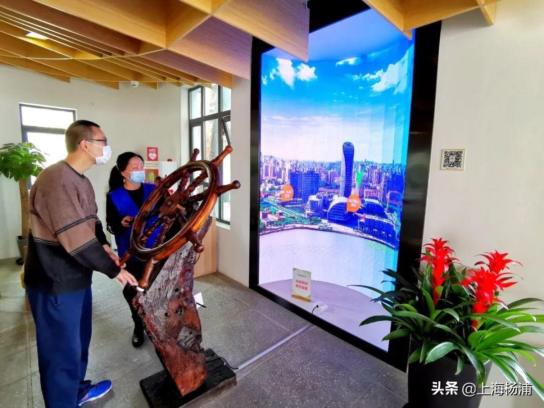 中国医药股票最新动态，与自然美景的邂逅之旅