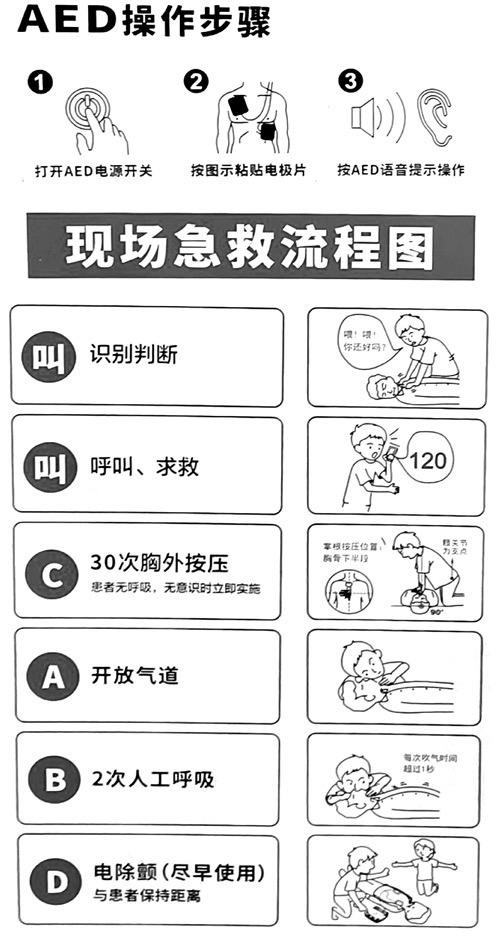 最新急救呼三联步骤指南详解