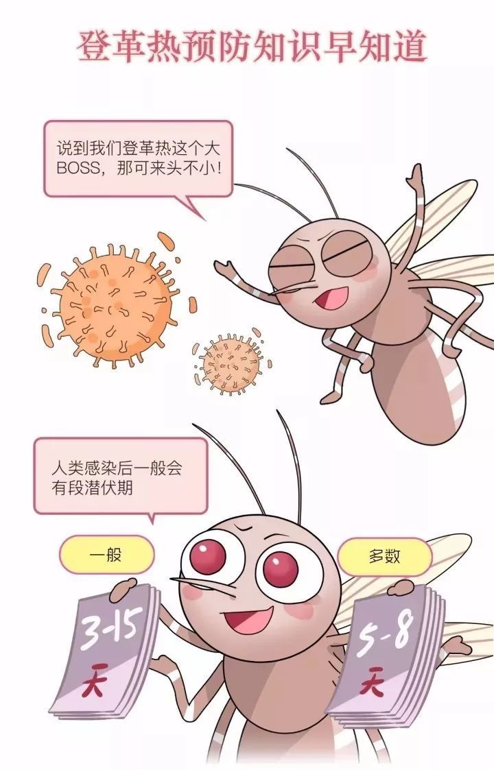 广东登革热最新动态及预防应对指南（初学者与进阶用户必备知识）