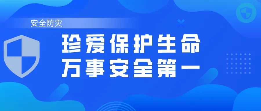 番茄社区最新网址，数字时代的社交新领地探索