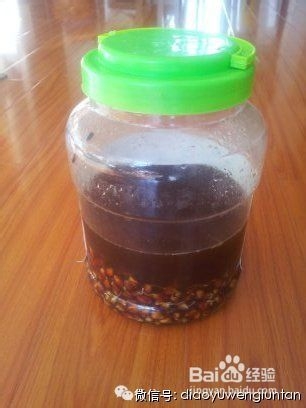 小巷深处的鲤鱼药酒最新配方揭秘，垂钓秘香探秘之旅