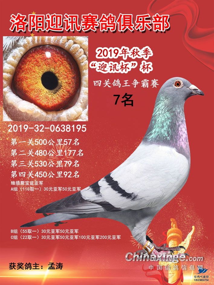 君翼赛鸽公棚秋最新公告，科技革新引领赛鸽新纪元体验