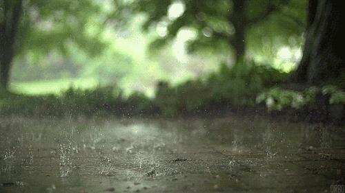 成都未来一周天气预报更新
