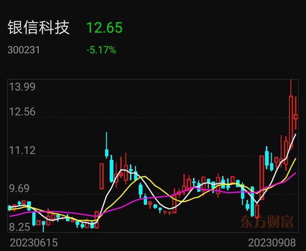 银信科技最新动态揭秘，小巷中的隐藏宝藏与股市走向分析