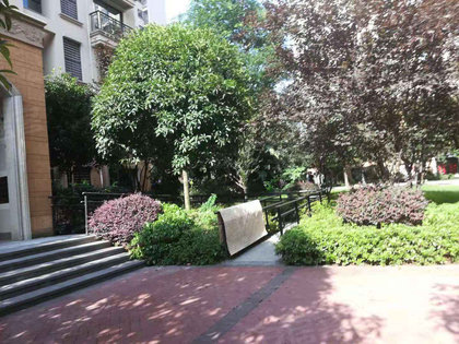 金科城二手房最新房价，探索自然美景，寻找内心宁静的旅程