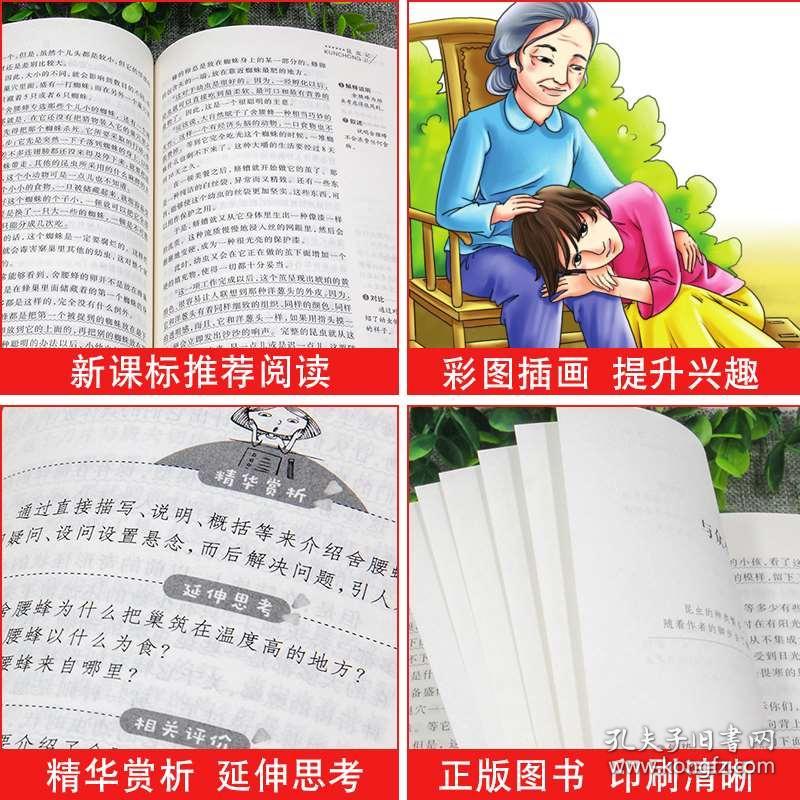 四年级课外书最新推荐书目榜单