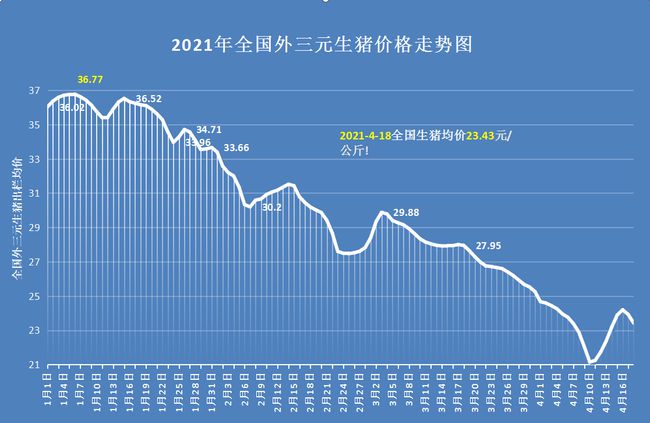 黑龙江生猪最新猪价详解，查询指南与解析，助你轻松掌握市场动态